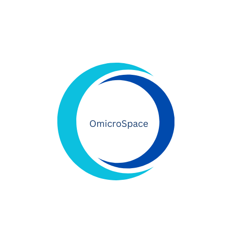 Omicro Space Logo